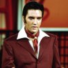 Cover Elvis Presley - Can't Help Falling in Love Elvis Presley - Can't Help Falling in Love