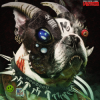 Cover Machine Girl - Scroll of Sorrow (feat. Guayaba) Machine Girl - Scroll of Sorrow (feat. Guayaba)