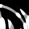 Cover Cardopusher - Neverlasting (Schwefelgelb Remix) Cardopusher - Neverlasting (Schwefelgelb Remix)