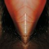 Cover Venetian Snares - Duffy Venetian Snares - Duffy