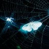 Cover MOTHICA - TOXINS (HEAVY REMIX) MOTHICA - TOXINS (HEAVY REMIX)