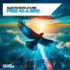 Cover Alex M.O.R.P.H. & Cari - Free as a Bird Alex M.O.R.P.H. & Cari - Free as a Bird