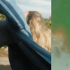 Cover AVAION & oskar med k - Can't find you AVAION & oskar med k - Can't find you