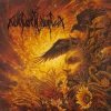 Cover Nokturnal Mortum - Sorrow Of Native Lands Nokturnal Mortum - Sorrow Of Native Lands