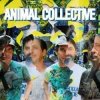 Cover Animal Collective - Daffy Duck Animal Collective - Daffy Duck