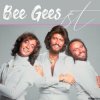 Cover Bee Gees - Wildflower Bee Gees - Wildflower