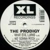Cover The Prodigy - Minefields The Prodigy - Minefields