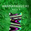 Cover Anamanaguchi - Echobo Anamanaguchi - Echobo