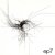 Cover Autechre - Eidetic Casein