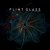 Cover Flint Glass - Cognitive Resonance