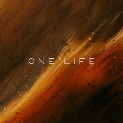 Cover Vibessmusic - One Life (slowed by kirman)