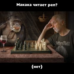 Cover Speechhouse & KRBK & lil makaka - Макака читает рэп