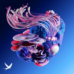 Cover Korolova & MotherEarth feat. Tyoz - Nightshapes (Bigfett Remix)