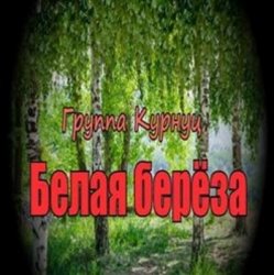 Cover группа Курнуц - Белая береза