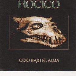 Cover Hocico - Silent Crow