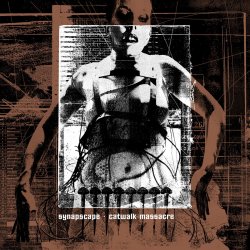 Cover Synapscape - Surface