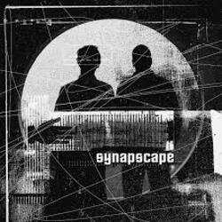 Cover Synapscape - 2nd Sect