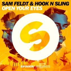 Cover Sam Feldt - The Confession