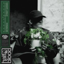 Cover Skybreak - STREET GARDEN