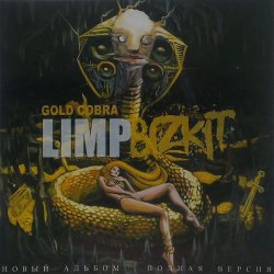 Cover Limp Bizkit - Introbra