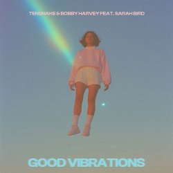 Cover Tensnake & Bobby Harvey & Sarah Bird - Good Vibrations