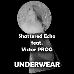 Cover Shattered Echo feat. Victor PROG - UNDERWEAR