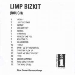 Cover Limp Bizkit - Don't Go Off Wandering