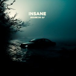 Cover Butch U - Insane