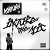 Cover Ashdunn - Injure The Mic Ashdunn - Injure The Mic