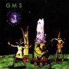 Cover GMS - La Raga GMS - La Raga