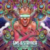 Cover GMS & Stryker - Rikart GMS & Stryker - Rikart