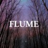 Cover Flume - Over You (Feat. Anthony For Cleopatra) Flume - Over You (Feat. Anthony For Cleopatra)
