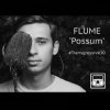 Cover Flume - Possum Flume - Possum