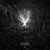 Cover HypoGeo - Tree Of Lies HypoGeo - Tree Of Lies