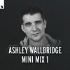 Cover Ashley Wallbridge - Mumbai Traffic (Armin van Buuren's Edit) Ashley Wallbridge - Mumbai Traffic (Armin van Buuren's Edit)