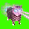 Cover XertXetin - OIIA OIIA COSMIC CAT (Sped Up) XertXetin - OIIA OIIA COSMIC CAT (Sped Up)