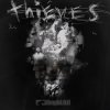 Cover Limp Bizkit - Thieves Limp Bizkit - Thieves