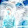 Cover Yabujin - SURGEON DOGMA Yabujin - SURGEON DOGMA