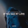 Cover Paul Schulze & FÜNKENSTEIN & LEVII - If You Had My Love Paul Schulze & FÜNKENSTEIN & LEVII - If You Had My Love