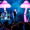 Cover Infected Mushroom - Mixed by G Light live mix from Exotica Gold Infected Mushroom - Mixed by G Light live mix from Exotica Gold