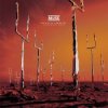 Cover Muse - New Born (XX Anniversary RemiXX) Muse - New Born (XX Anniversary RemiXX)