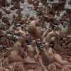 Cover Sevdaliza - Amandine Insensible Sevdaliza - Amandine Insensible