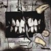 Cover In Strict Confidence - Burning Angel (Biopsy Remix) In Strict Confidence - Burning Angel (Biopsy Remix)