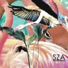 Cover SZA - Castles SZA - Castles