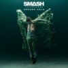 Cover Smash Into Pieces - Broken Halo Smash Into Pieces - Broken Halo