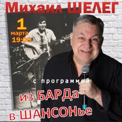 Cover Михаил Шелег - Упала звезда