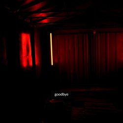 Cover Baryk - goodbye