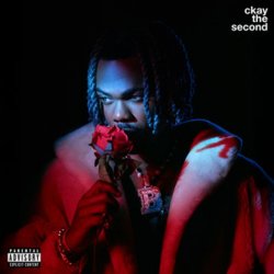 Cover CKay & Bella Shmurda - nothing spoil