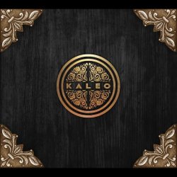 Cover Kaleo - Broken Bones