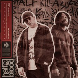 Cover Skybreak & Subten - STONE KOLD